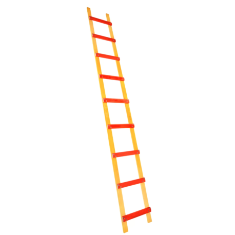 Echelle de toit bois, 9 barreaux - Lg 3m00